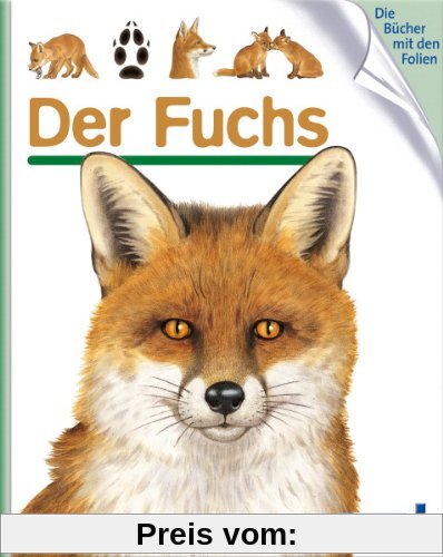 Der Fuchs: Meyers kleine Kinderbibliothek 93